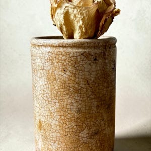 May include: A cylindrical ceramic vessel with a cream-colored glaze featuring a prominent brown crackle pattern throughout the exterior surface. A single dried, light tan rose bloom is positioned inside the top opening of the container.