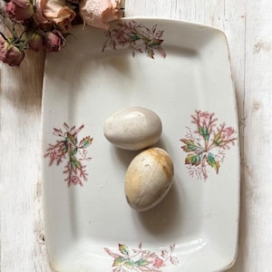 Antique Ironstone Platter: Moss Rose Transferware, Victorian KTK Granite