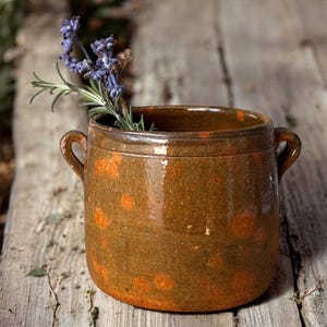 May include: A rustic, brown ceramic pot with orange polka dots, featuring two small handles. The pot contains sprigs of lavender and rosemary. The pot sits on a weathered wooden surface, evoking a vintage aesthetic.
