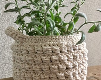May include: A cream-colored, crocheted plant pot filled with green leafy plants. The pot has a textured, woven design and a small handle. The plant's leaves are a vibrant green, contrasting with the neutral tones of the pot.