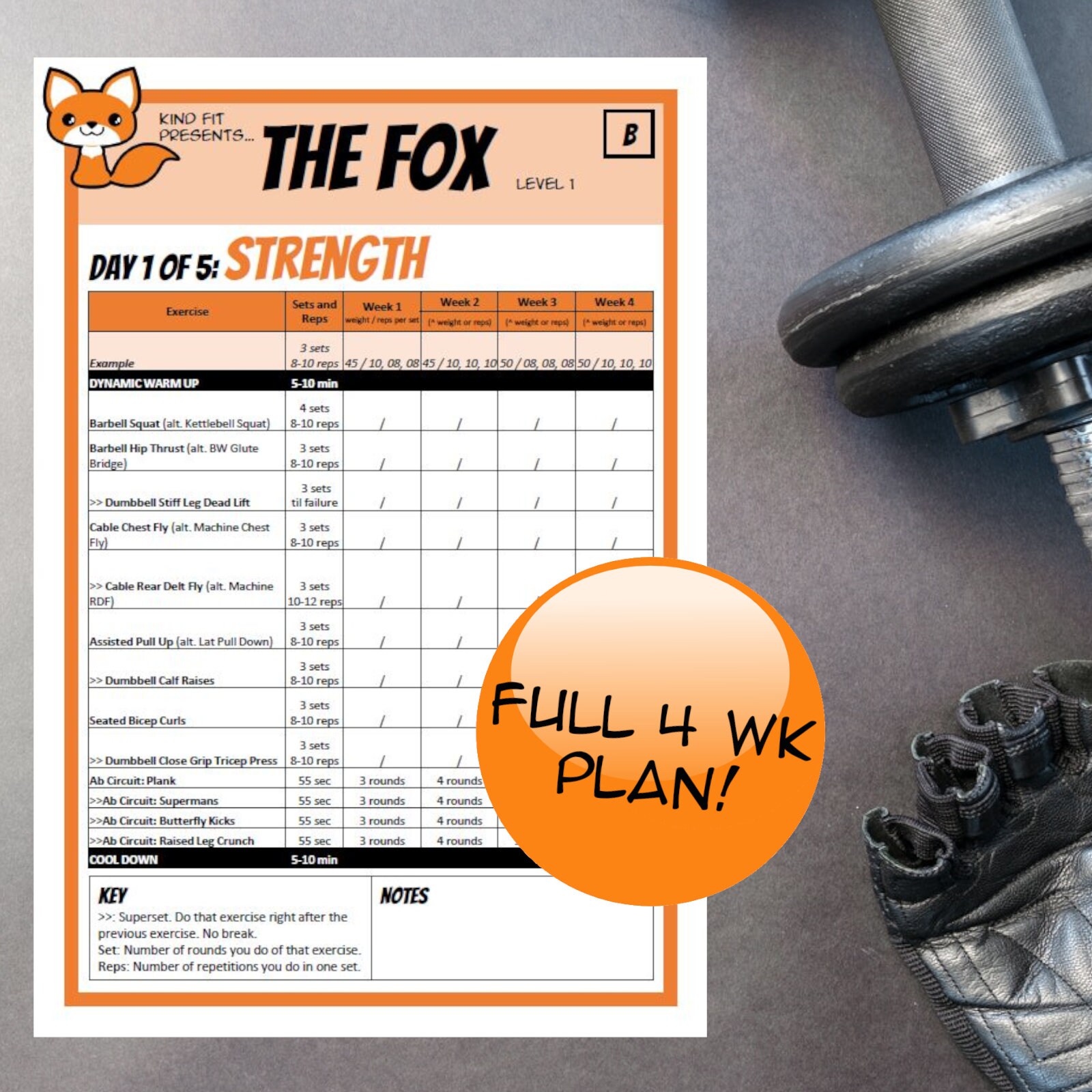 Workout Plan Full 4 Weeks Cardio and Strength | Etsy