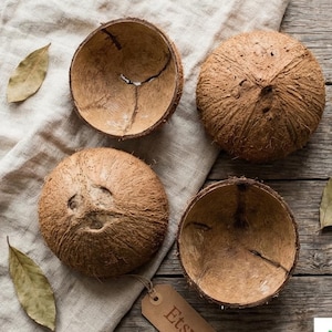 Könnte beinhalten: Vier braune Kokosnussschalen, zwei halbiert und zwei ganz, angeordnet auf einer beigen Leinenoberfläche. Getrocknete Blätter sind um die Kokosnüsse verstreut. Ein kleines Etikett mit dem Wort "Etsy" ist sichtbar.