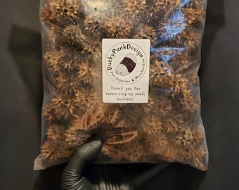 Bioactive Botanicals Sweetgum Tree Balls/Spike Balls/Gum Balls/Sticker Burrs Substrate Topper and Invertebrate Shelter or Food (20-25 Balls)