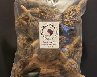 Bioactive Botanicals Magnolia Seed Pods Invert Microhabitat Substrate Toppers. Provides Long-Lasting Food, Shelter, and Enrichment (10 Pods)