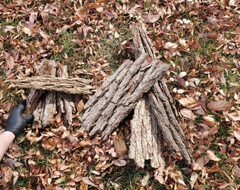 Bioactive Botanicals Hardwood Bark Flats and Animal Hides for Invert Enclosures, Assorted Sizes and Thickness, Plain or with Moss and Lichen