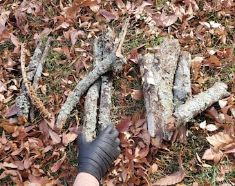 Bioactive Botanicals Hardwood Branches with Lichen/Moss/Mushroom for Invertebrate, Isopod, Millipede Enclosures Assorted Sizes and Thickness