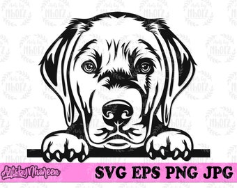 Peeking Labrador svg, Cute Dog Clipart, Puppy T-shirt Design png, Vet Clinic Jpeg dxf, Pet Shop Monogram, Doggo Cutfile, Retriever Stencil