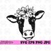 Floral Cow Head Svg, Farm Cow Clipart, Farm Life Shirt Png, Farming ...