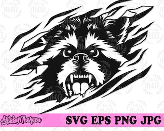 Raccoon Scratch svg | Wild Life Clipart | Woodland Animal Cut File | Zoo Keeper Gift Idea | Safari Tour Stencil | Zoo Trip dxf | Trashy Cat