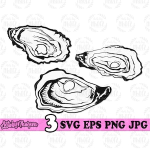 May include: Three black and white line drawings of oyster shells. The shells are open and show the inside of the oyster.
