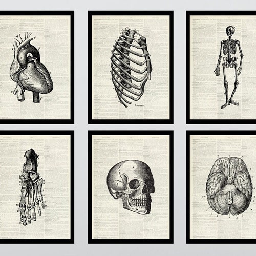 Vintage Halloween Printable set 1 Etsy