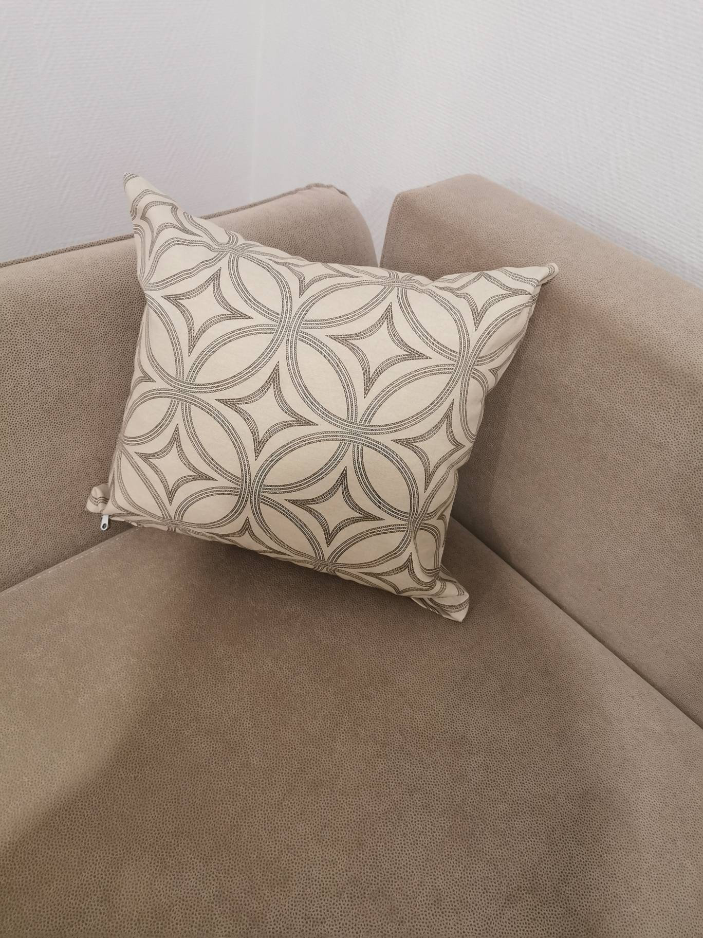 Housse de Coussin Moderne
