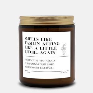 Tamlin&#39;s a Bitch, ACOTAR Fan Merch, Acotar Fan Gift, Acomaf Gift, Bookish Candle, Bookworm Gift, Acotar Smut, A Court of Throne And Roses