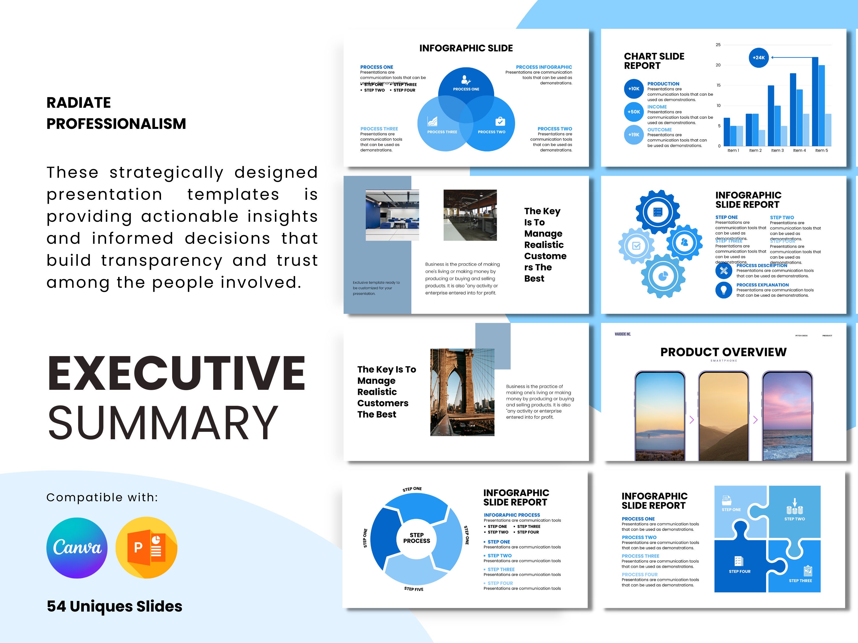 Infographic Executive Summary