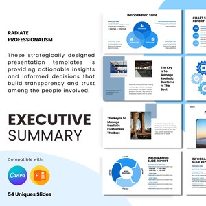 Executive Summary Infographics, Powerpoint Template, Template for Powerpoint, Powerpoint Template, Template Design, Powerpoint Infographic