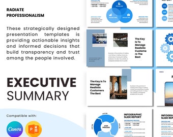 Executive Summary Infographics, Powerpoint Template, Template for Powerpoint, Powerpoint Template, Template Design, Powerpoint Infographic