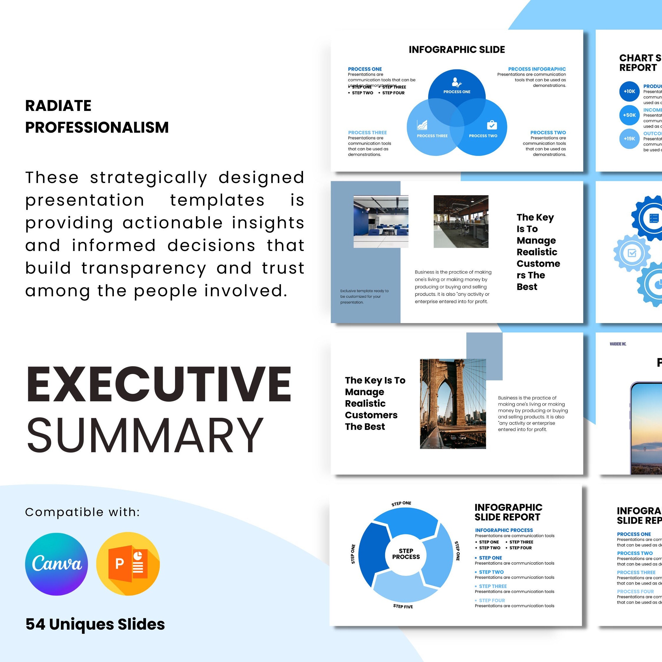 Executive Summary Infographics, Powerpoint Template, Template for 