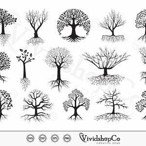 May include: A set of 12 black and white silhouette images of trees with roots. The trees are in various styles, including a tree with a circular crown, a tree with a bare trunk, and a tree with a full crown.