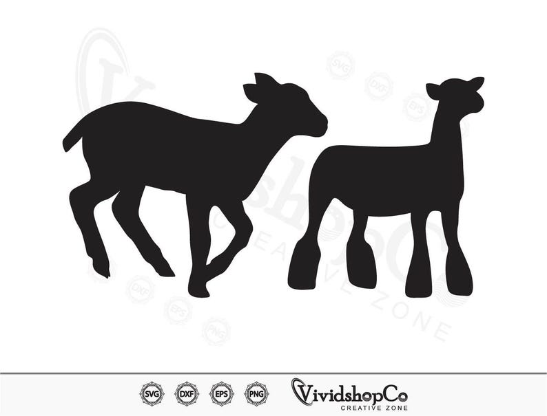 May include: Silhouette of two sheep, one standing and one walking, in black against a white background.