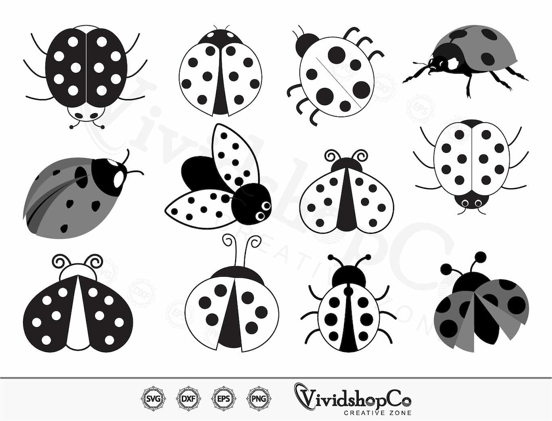 Ladybug Bundle Svg, Ladybug Svg, Ladybug Clipart, Ladybug Cut Files for ...