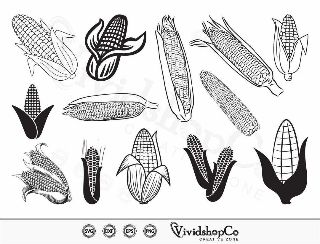 Corn SVG, Layered Svg, Farm Svg, Vegetable Svg, Food Svg, Clipart, Cut ...