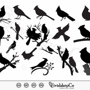 Kardinal SVG, Kardinal Vogel svg, Vogel svg, Kardinal Layered svg, Clipart, Schnittdateien für Silhouette, Dateien für Cricut, Vektor, dxf, png