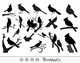Cardinal SVG, Cardinal Bird svg, Bird svg, Cardinal Layered svg, Clipart, Cut Files for Silhouette, Files for Cricut, Vector, dxf, png