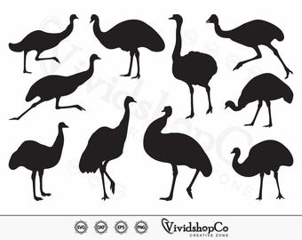 Emu SVG, vogel svg, dierlijke svg, clipart, gesneden bestanden voor silhouet, bestanden voor Cricut, Vector, dxf, png, ontwerp