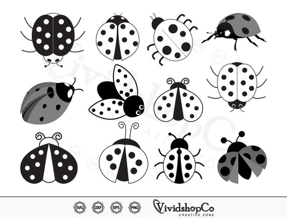 Lady Bug Png  Design Bundles