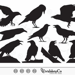 Raven SVG, Crow svg, Clipart, Cut Files for Silhouette, Files for Cricut, Vector, dxf, png, Design
