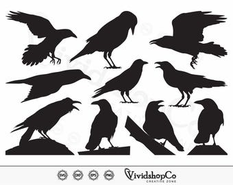 Raven SVG, Crow svg, Clipart, Cut Files for Silhouette, Files for Cricut, Vector, dxf, png, Design
