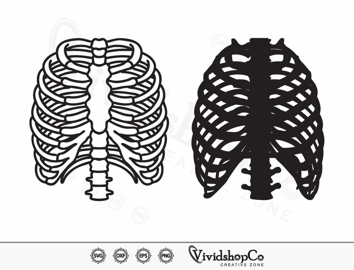 Rib Cage SVG, Skeleton Rib Cage Svg, Skeleton Svg, Human Ribs Svg ...