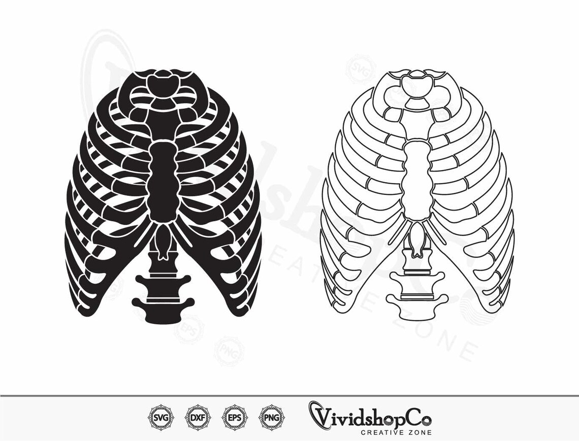 Rib Cage SVG, Skeleton Rib Cage Svg, Skeleton Svg, Human Ribs Svg ...