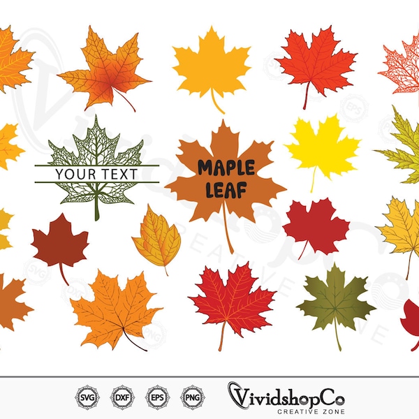 Maple Leaves SVG, Canadian leaf svg, Autumn maple leaf svg, Clipart, Cut Files for Silhouette, Files for Cricut, Vector, dxf, png, Design