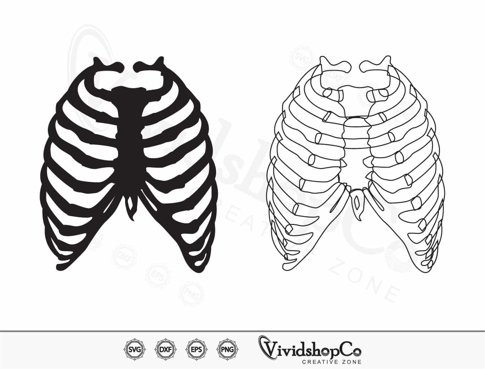 Rib Cage SVG, Skeleton Rib Cage Svg, Skeleton Svg, Human Ribs Svg ...