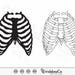 Rib Cage SVG, Skeleton Rib Cage Svg, Skeleton Svg, Human Ribs Svg ...