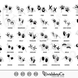 Animal foot print svg, Footprint svg, Foot svg, Feet svg, clipart vector png dxf eps stencil cut file for Cameo silhouette cricut vinyl