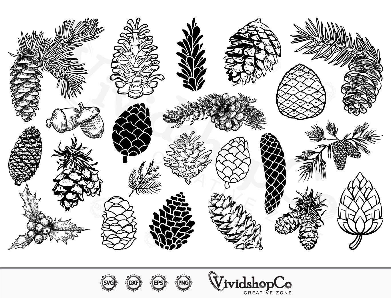 Pine Branch SVG, EPS, PNG Download, Pine Cone, Christmas Tree Clipart,  Christmas Decoration, Tree Branch Svg, Pine Cut File, Commercial Use 