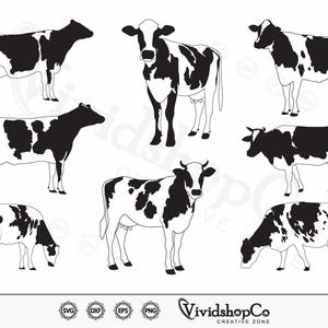 Holstein mjölkko SVG, mjölkko svg, ko svg, clipart, klippfiler för silhuett, filer för Cricut, vektor, dxf, png, design