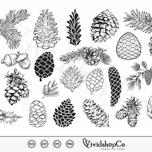 Pine Cones SVG, Pinecone svg, Pine tree svg, Pine Branches svg, Winter svg, Clipart, Cut Files for Silhouette, Cricut, Vector, dxf, png