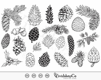 Szyszki sosnowe SVG, Szyszka sosnowa SVG, Sosna SVG, Gałęzie sosnowe SVG, Zima SVG, Clipart, Pliki do cięcia dla sylwetki, Cricut, Wektor, dxf, png