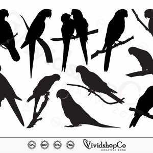 May include: A digital file of ten black silhouette images of parrots perched on branches. The parrots are in various poses and sizes.
