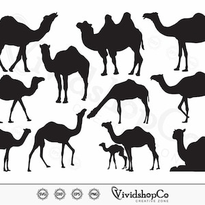 Camel SVG, Animal svg, Clipart, Cut Files for Silhouette, Files for Cricut, Vector, dxf, png, Design
