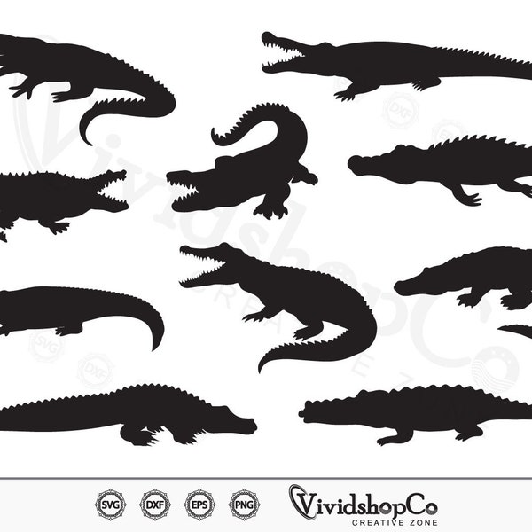 Crocodile SVG, Caiman svg, Cayman Animal, Animal svg, Alligator svg, Clipart, Cut Files for Silhouette, Files for Cricut, Vector, dxf, png