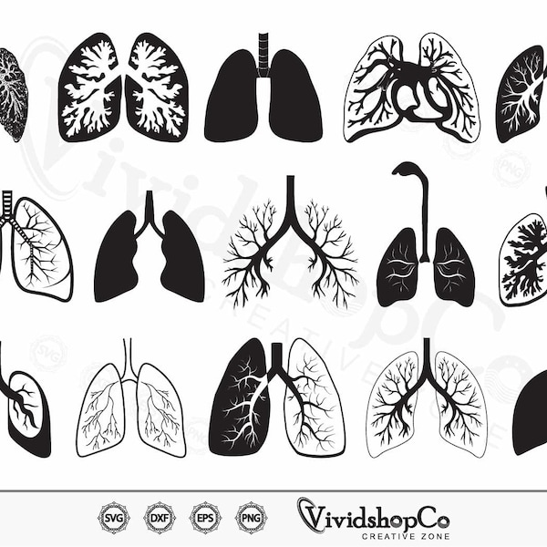 Pulmón SVG, Imagen médica SVG, Pulmón humano SVG, Bronquial SVG, Clipart, Archivos de corte para Silhouette, Archivos para Cricut, Vector, dxf, png, Diseño