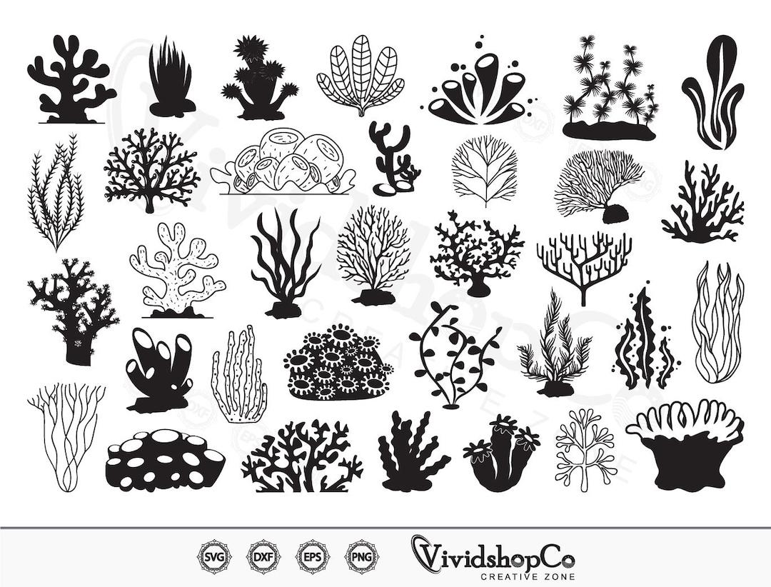 Coral Ocean SVG, Coral Svg, Seaweed Svg, Sea Plant Svg, Clipart, Cut