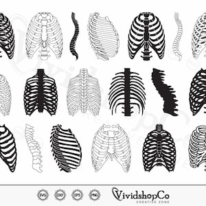 Rib Cage SVG, Skeleton Rib Cage svg, Skeleton svg, Human Ribs svg, Human Bones svg, clipart, Eps, Dxf, Png, Cut file.