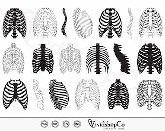Caja torácica SVG, Caja torácica de esqueleto svg, Esqueleto svg, Costillas humanas svg, Huesos humanos svg, clipart, Eps, Dxf, Png, Archivo de corte.