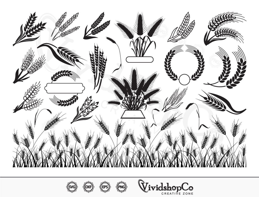 Wheat SVG Bundle, Wheat Svg, Grain Svg, Wheat Clipart, Wheat Files for