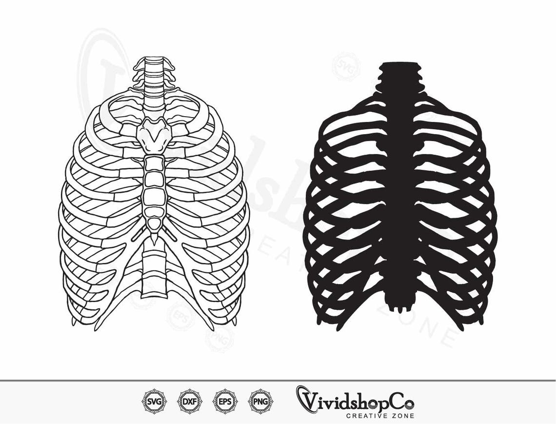 Rib Cage SVG, Skeleton Rib Cage Svg, Skeleton Svg, Human Ribs Svg ...